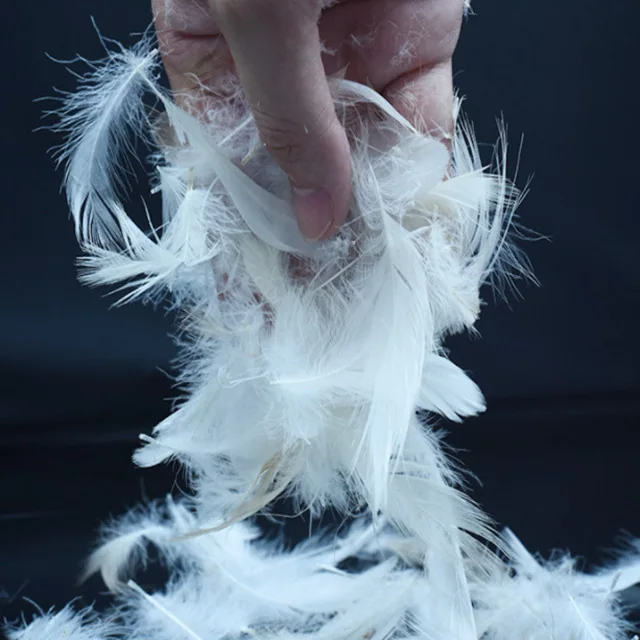 2-4 Washed White Duck Feather — product image 1