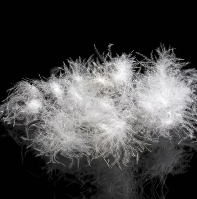 90%Washed White Duck Down Feather Filled For Down Jacket ,Duvet & Pillow — product image 1